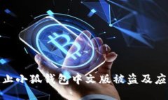 如何防止小狐钱包中文版被盗及应对措施