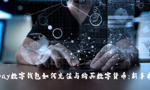 Topay数字钱包如何充值与购买数字货币：新手指南