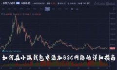 如何在小狐钱包中添加BSC网络的详细指南