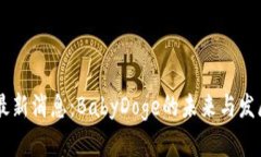 币圈最新消息：BabyDoge的未来与发展分析